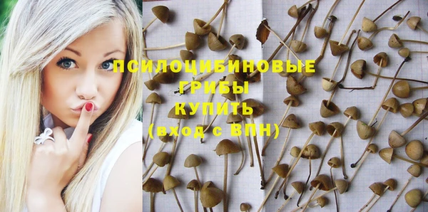 МДПВ Абаза
