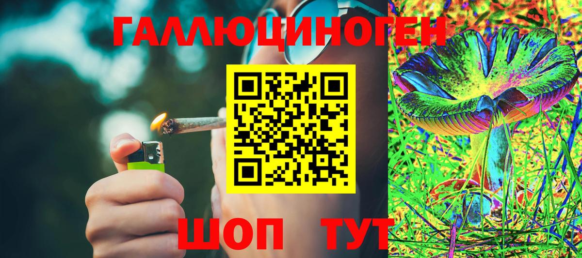 Галлюциногенные грибы Cubensis Киржач
