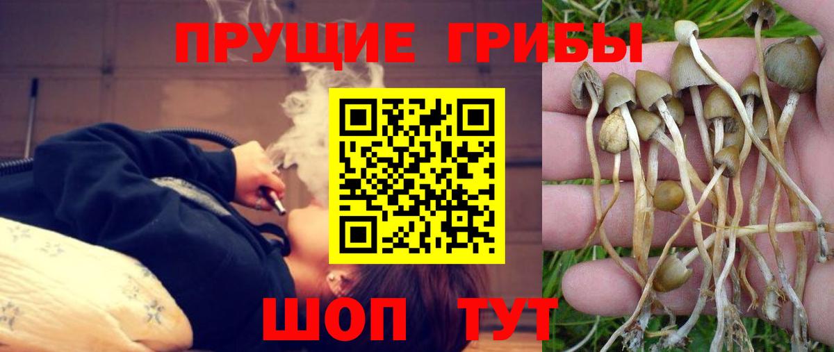 Галлюциногенные грибы Magic Shrooms  Вход с VPN  Киржач 